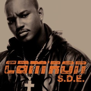 Cam’ron S.D.E. (Sports, Drugs & Entertainment)